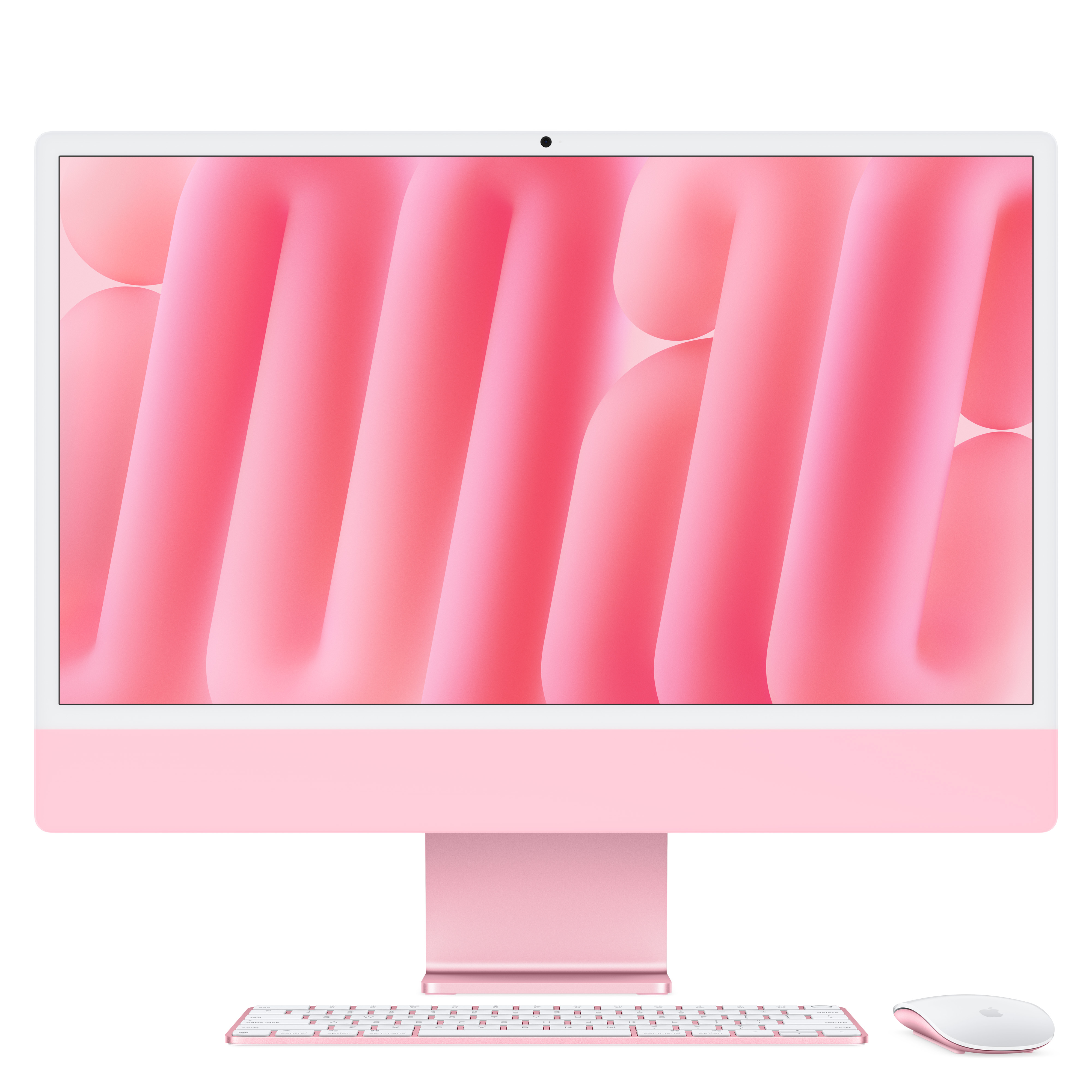 
            main 
            product 
            photo
        