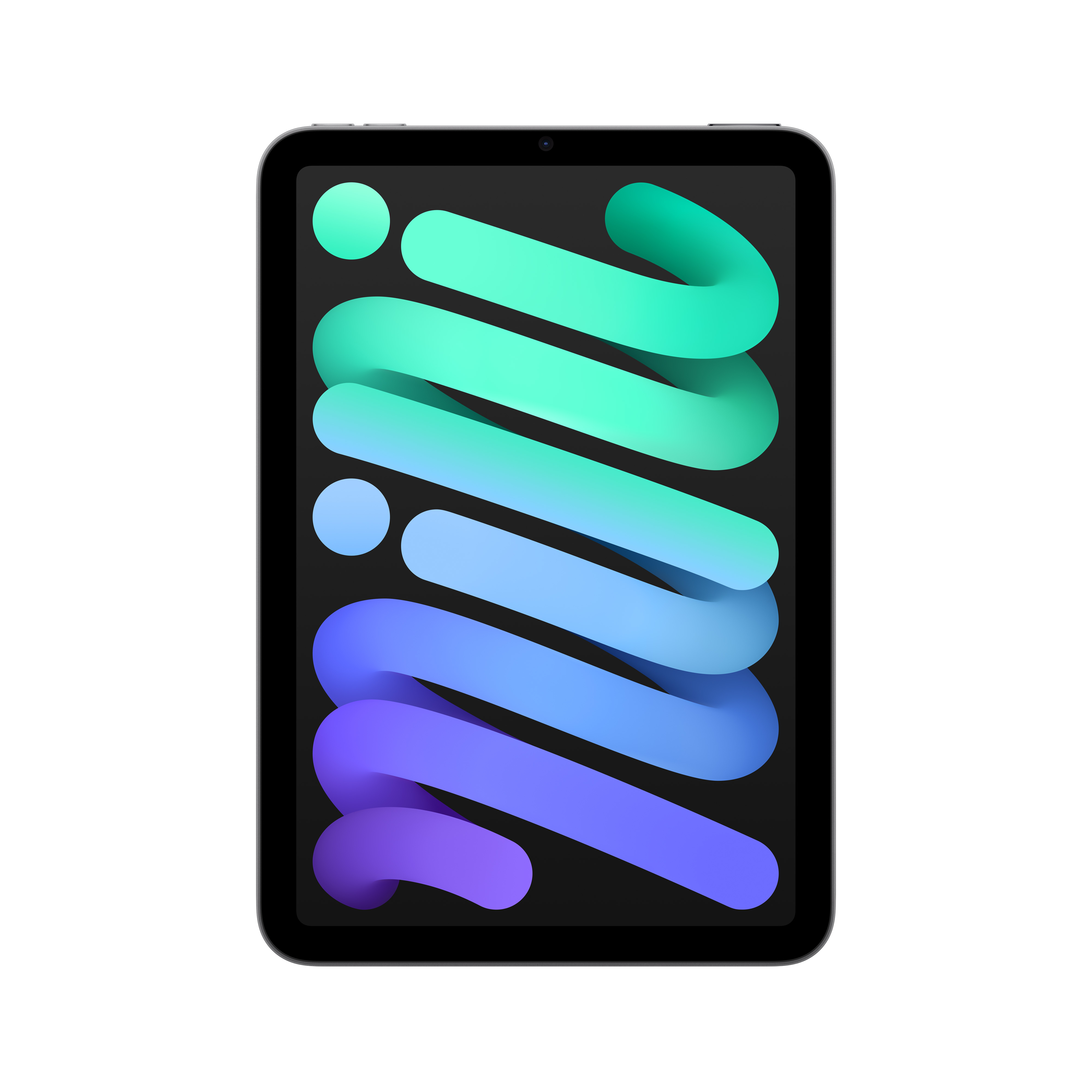 
            main 
            product 
            photo
        