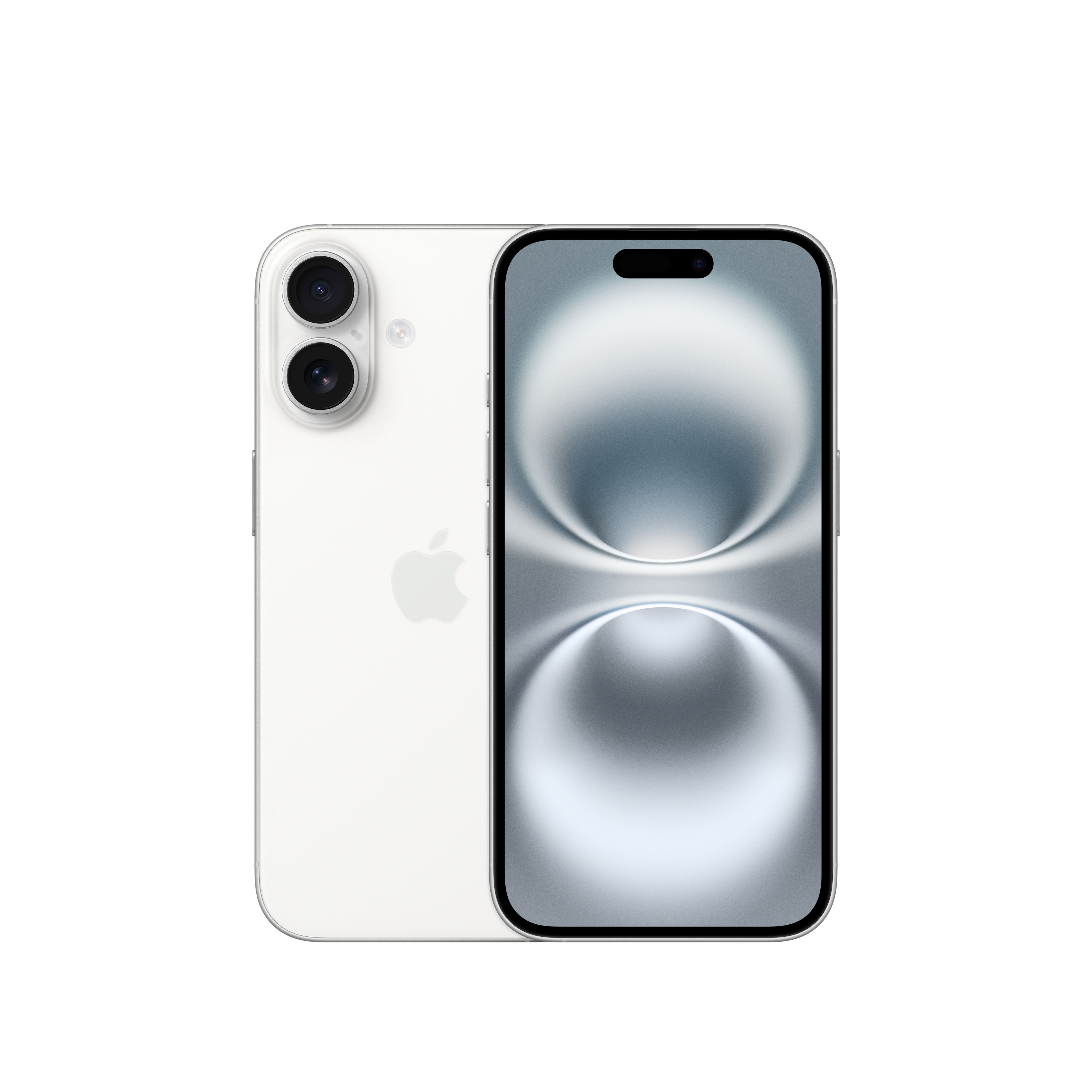 
            main 
            product 
            photo
        