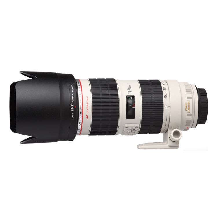 Canon EF 70-200mm f/2.8L IS II USM SLR Telephoto lens White