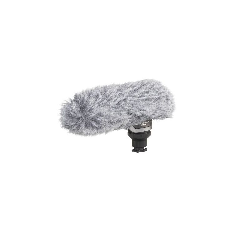 Canon DM-100 Directional Stereo Microphone