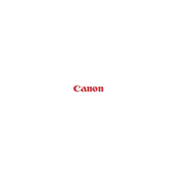 Canon 256MB DDRAM DRAM