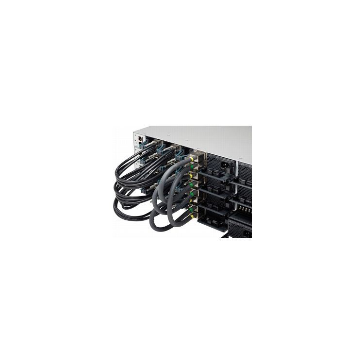 Cisco STACK-T1-50CM InfiniBand/fibre optic cable 0.5 m StackWise-480