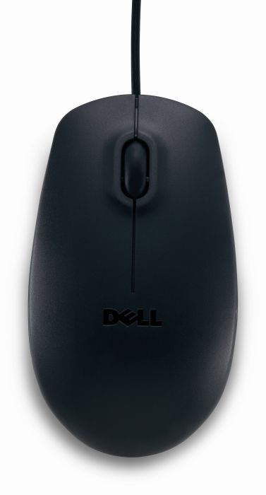 
            main 
            product 
            photo
        