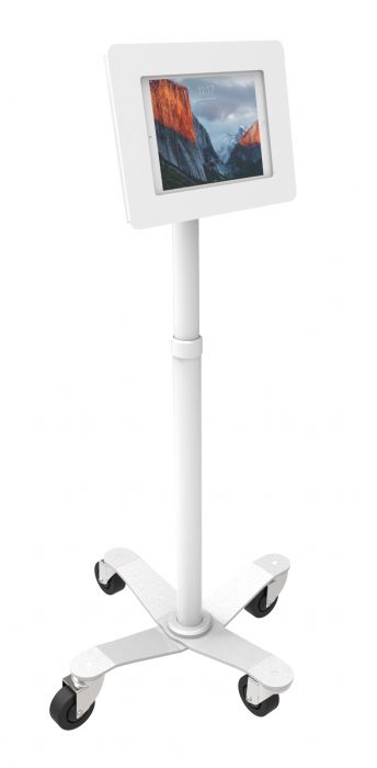 
            main 
            product 
            photo
        