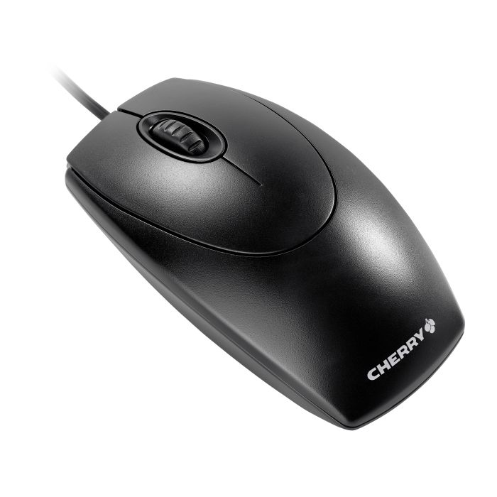 
            main 
            product 
            photo
        